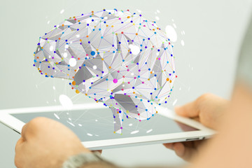 七下科学作业本a题目