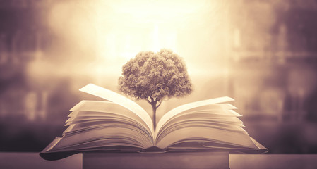 分数与除法的关系的手抄报 关于分数的手抄报