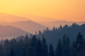 七下科学作业本a题目