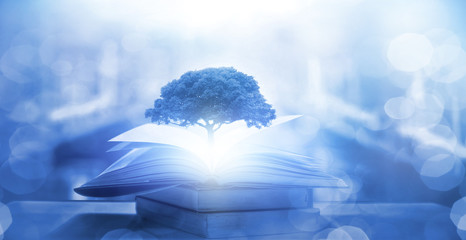 秋季中药养生汤