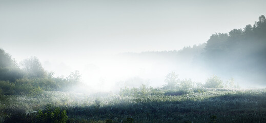 秋季中药养生汤