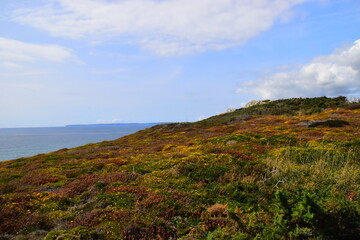 游埠早茶一条街冬季营业时间