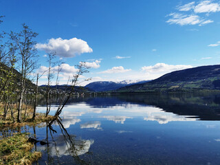 游埠早茶一条街冬季营业时间