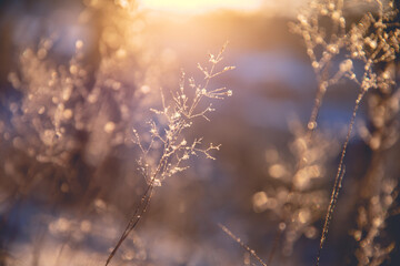 分数与除法的关系的手抄报 关于分数的手抄报