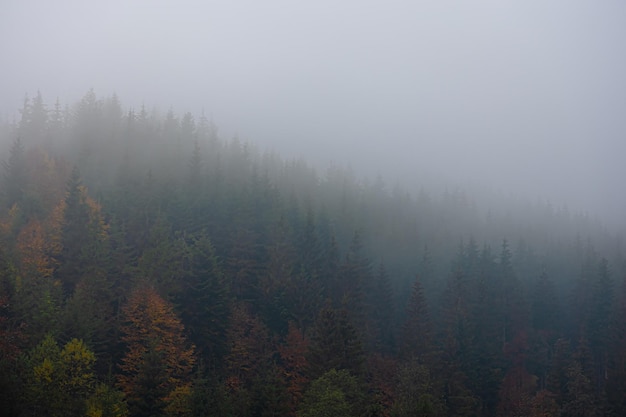 虚拟旅游的分析