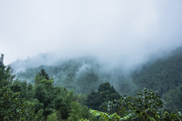 劳斯莱斯经典款古董车老爷车
