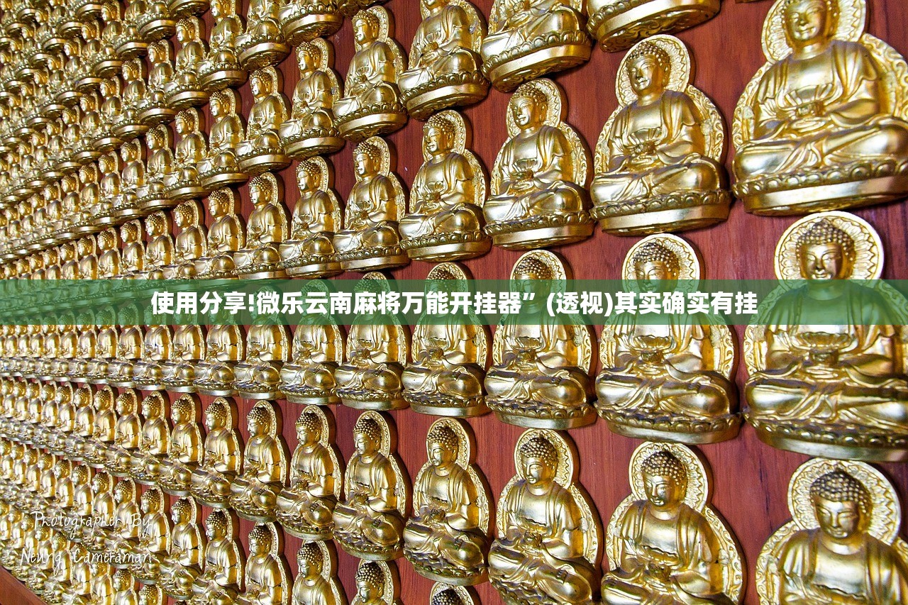 使用分享!微乐云南麻将万能开挂器”(透视)其实确实有挂