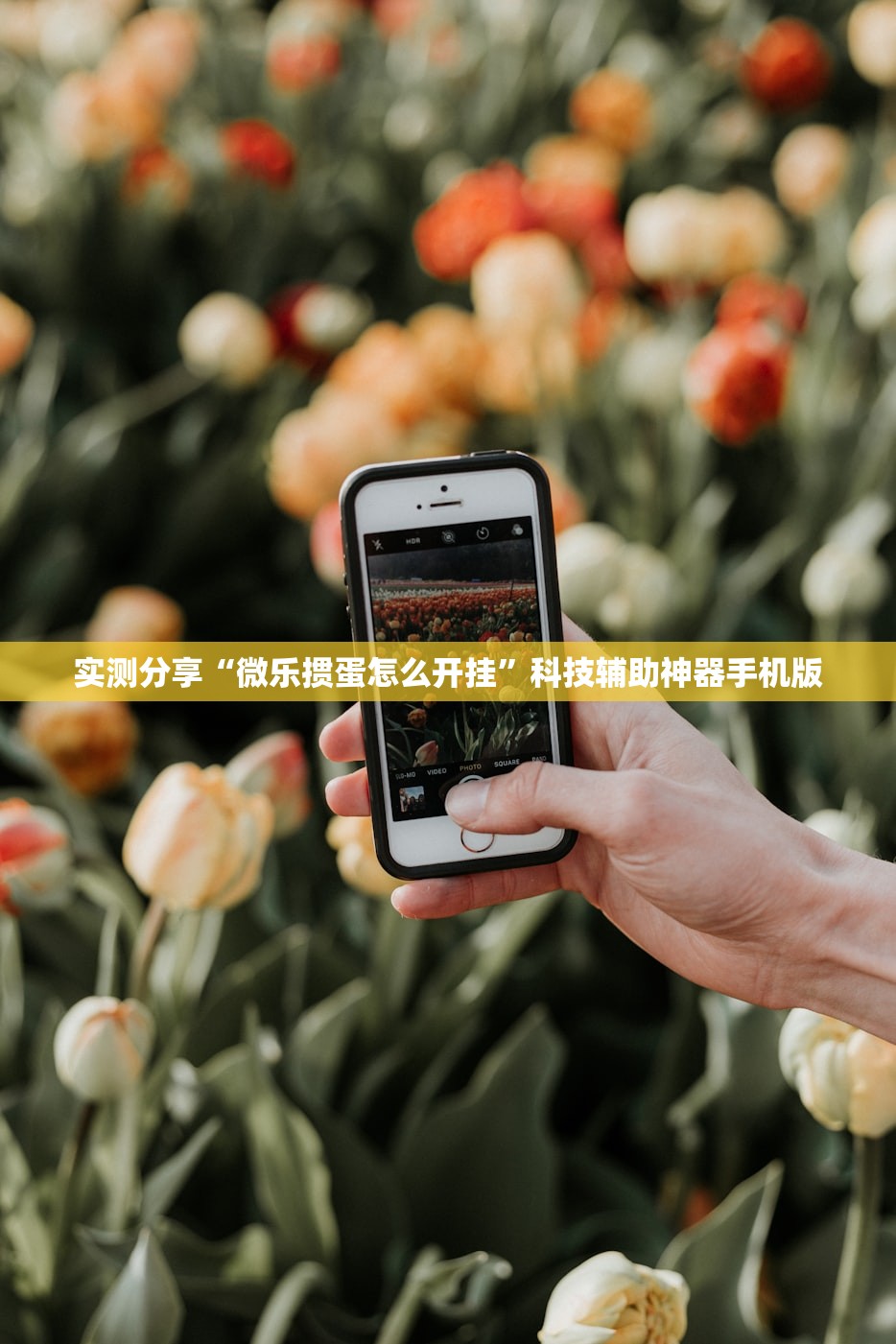 实测分享“微乐掼蛋怎么开挂”科技辅助神器手机版