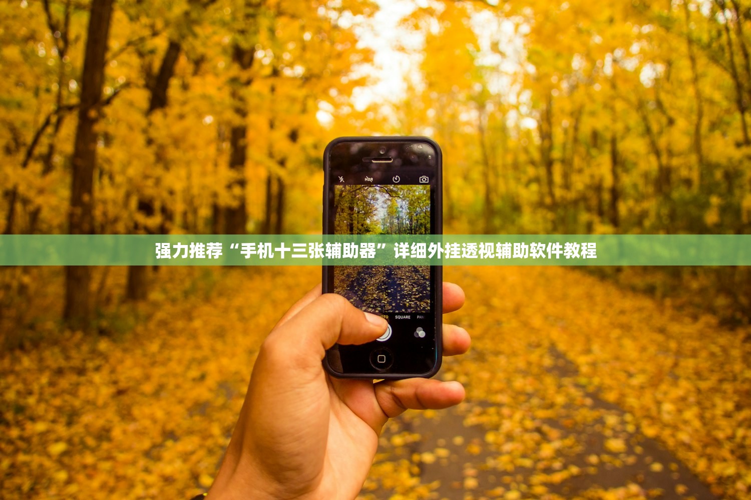 强力推荐“手机十三张辅助器”详细外挂透视辅助软件教程