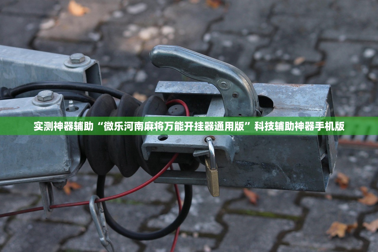 实测神器辅助“微乐河南麻将万能开挂器通用版”科技辅助神器手机版