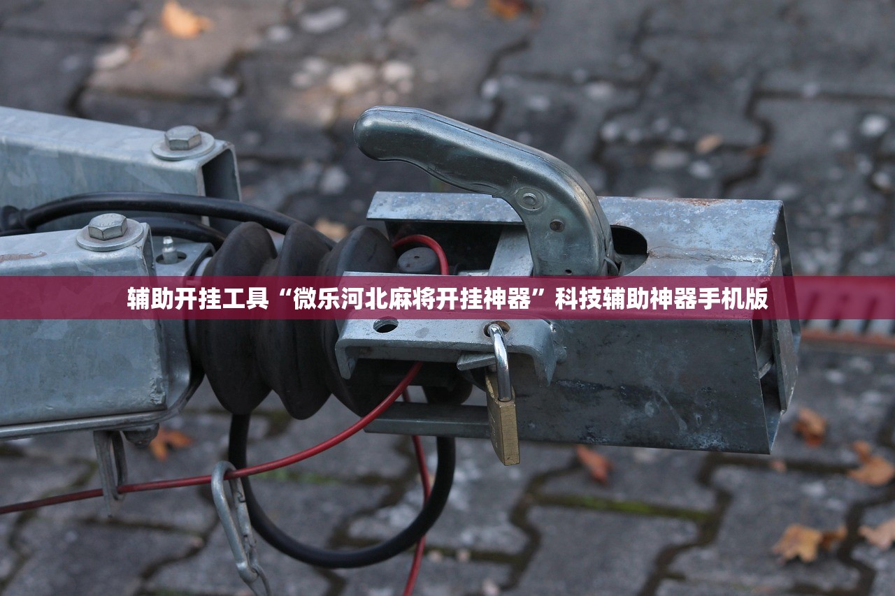 辅助开挂工具“微乐河北麻将开挂神器”科技辅助神器手机版