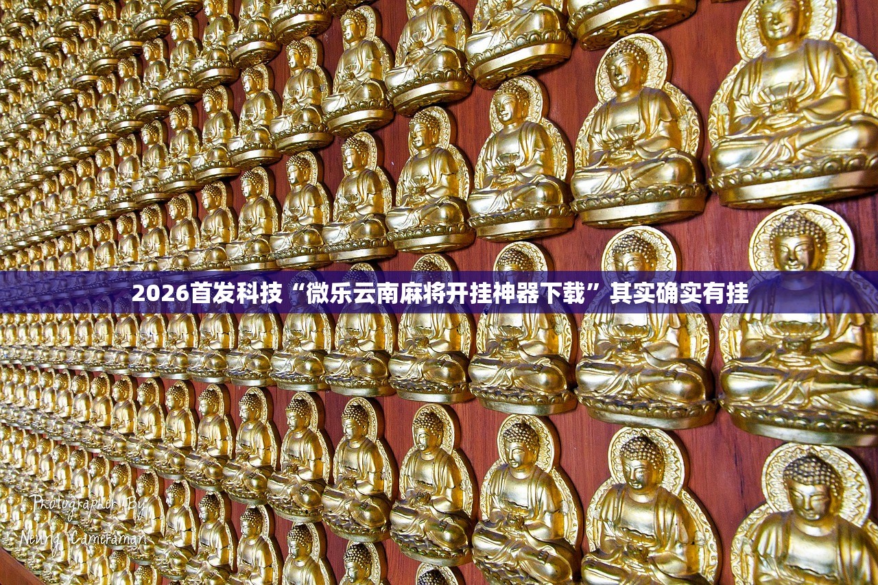 2026首发科技“微乐云南麻将开挂神器下载”其实确实有挂