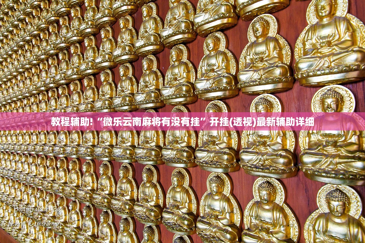 教程辅助!“微乐云南麻将有没有挂”开挂(透视)最新辅助详细