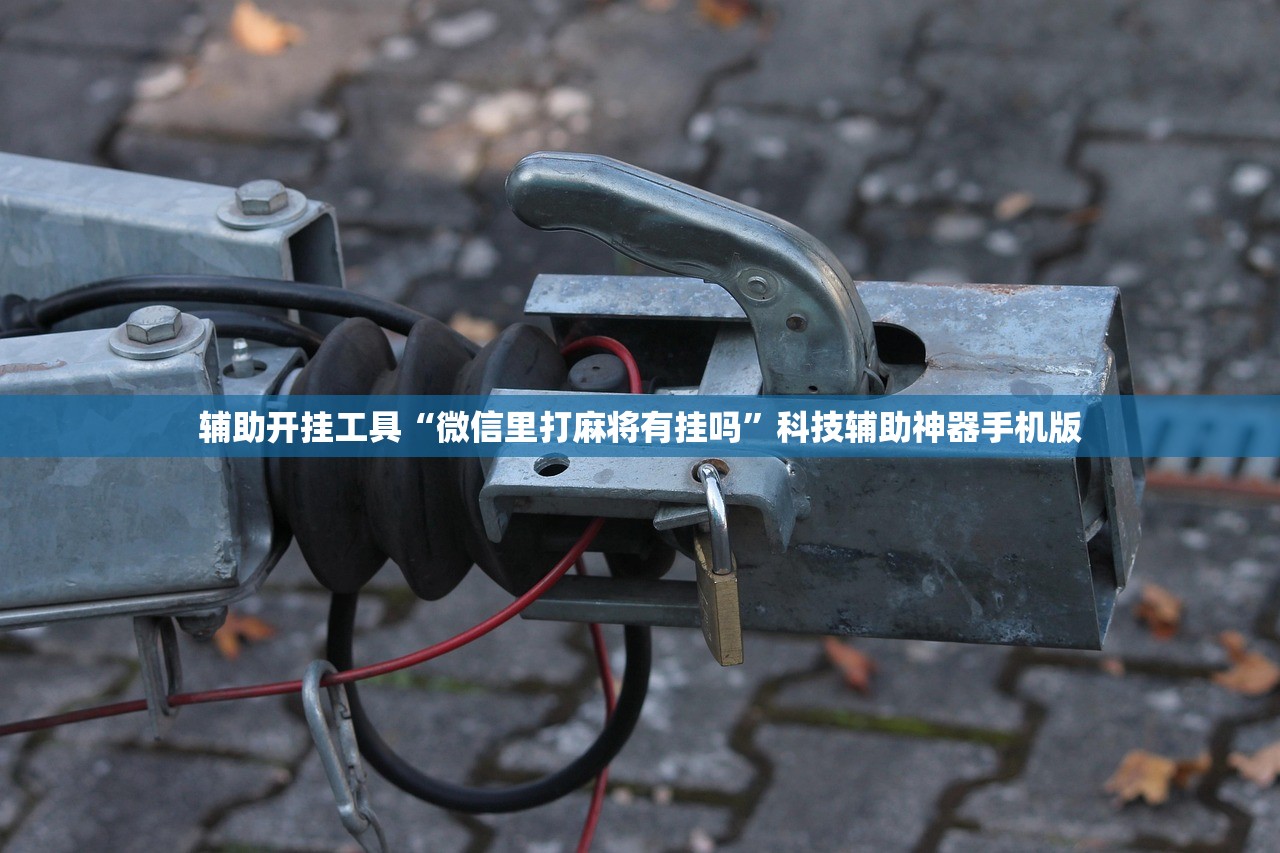 辅助开挂工具“微信里打麻将有挂吗”科技辅助神器手机版