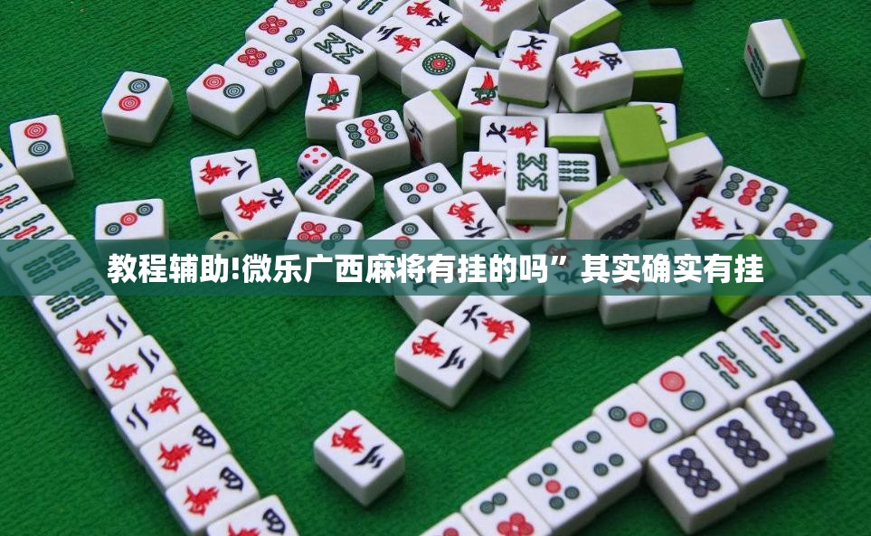 教程辅助!微乐广西麻将有挂的吗	”其实确实有挂