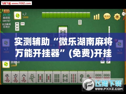 实测辅助“微乐湖南麻将万能开挂器”(免费)开挂辅助教学(最新辅助开挂教程)