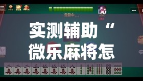 实测辅助“微乐麻将怎么样才能一直赢”原来可以开挂