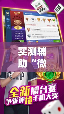 实测辅助“微乐麻将怎么样才能一直赢	”原来可以开挂