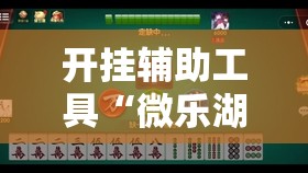 开挂辅助工具“微乐湖南麻将怎么能赢”开挂详细教程