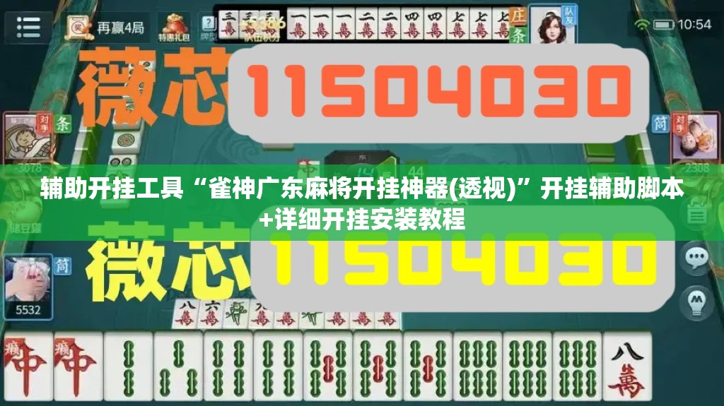 辅助开挂工具“雀神广东麻将开挂神器(透视)	”开挂辅助脚本+详细开挂安装教程