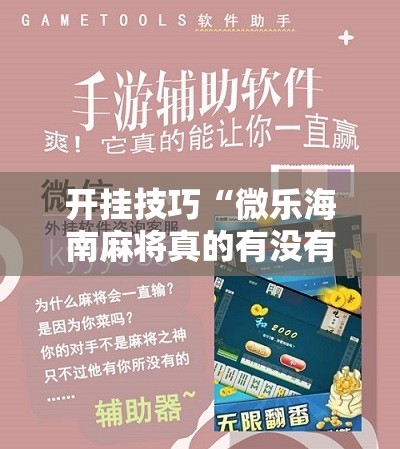 开挂技巧“微乐海南麻将真的有没有开挂神器”开挂辅助脚本+详细开挂安装教程