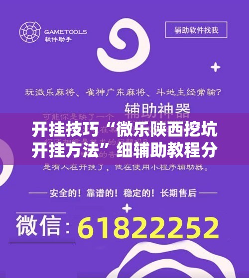 开挂技巧“微乐陕西挖坑开挂方法”细辅助教程分享