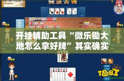 开挂辅助工具“微乐锄大地怎么拿好牌”其实确实有挂