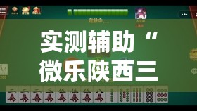 实测辅助“微乐陕西三带有开挂方法吗”其实确实有挂