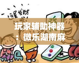 玩家辅助神器：微乐湖南麻将有挂吗多少钱(透视)	”开挂辅助脚本+详细开挂安装教程