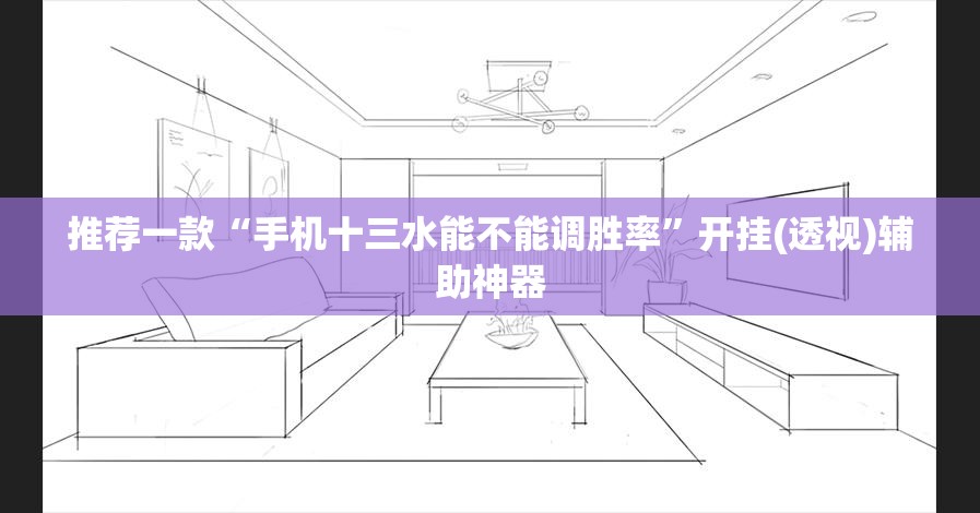 推荐一款“手机十三水能不能调胜率”开挂(透视)辅助神器