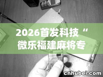 2026首发科技“微乐福建麻将专用神器”(透视)其实确实有挂