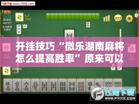 开挂技巧“微乐湖南麻将怎么提高胜率”原来可以开挂
