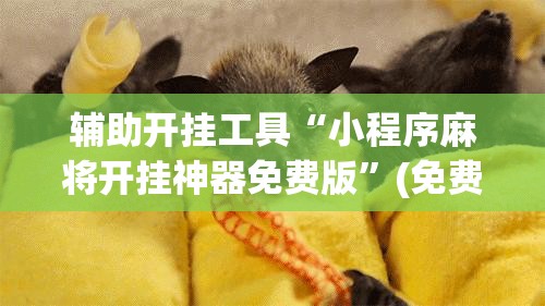 辅助开挂工具“小程序麻将开挂神器免费版”(免费)开挂辅助教学(最新辅助开挂教程)