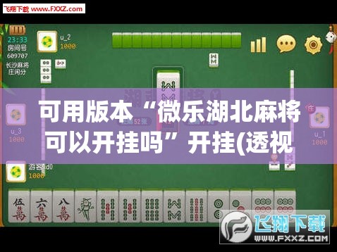 可用版本“微乐湖北麻将可以开挂吗”开挂(透视)最新辅助详细
