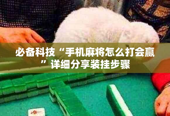 必备科技“手机麻将怎么打会赢”详细分享装挂步骤