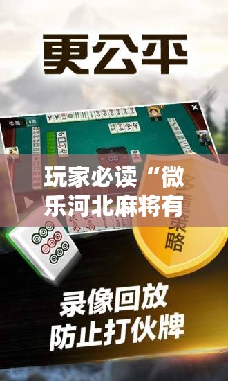 玩家必读“微乐河北麻将有没有开挂神器”详细开挂教程