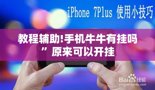 教程辅助!手机牛牛有挂吗	”原来可以开挂