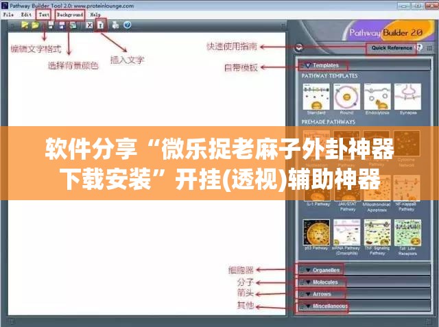 软件分享“微乐捉老麻子外卦神器下载安装”开挂(透视)辅助神器