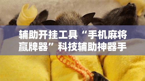 辅助开挂工具“手机麻将赢牌器”科技辅助神器手机版