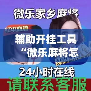 辅助开挂工具“微乐麻将怎么样才能一直赢(透视)	”开挂辅助脚本+详细开挂安装教程