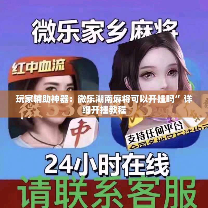 玩家辅助神器：微乐湖南麻将可以开挂吗”详细开挂教程