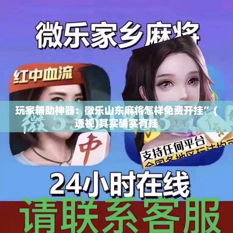 玩家辅助神器：微乐山东麻将怎样免费开挂”(透视)其实确实有挂