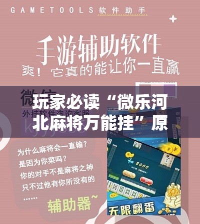 玩家必读“微乐河北麻将万能挂”原来可以开挂