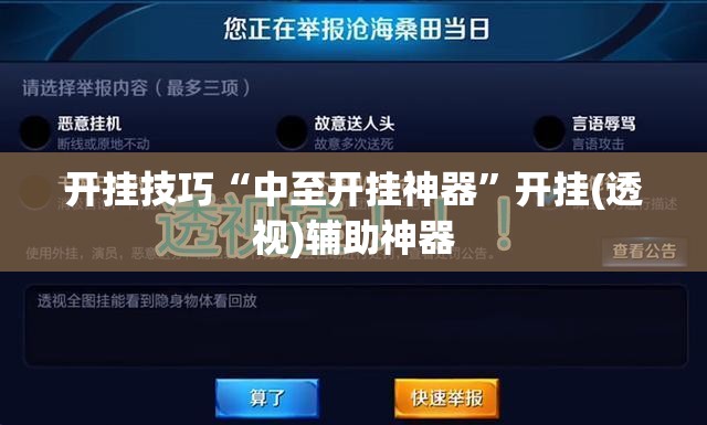 开挂技巧“中至开挂神器	”开挂(透视)辅助神器