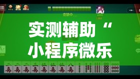 实测辅助“小程序微乐麻将开挂神器下载”详细分享装挂步骤
