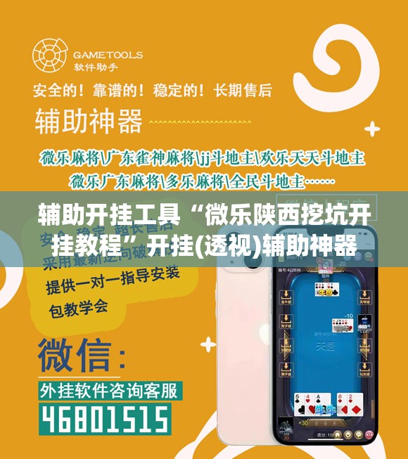 辅助开挂工具“微乐陕西挖坑开挂教程”开挂(透视)辅助神器