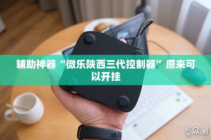辅助神器“微乐陕西三代控制器”原来可以开挂