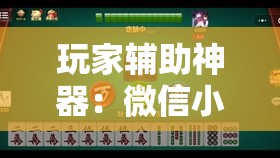玩家辅助神器：微信小程序微乐麻将开挂神器下载”详细分享装挂步骤