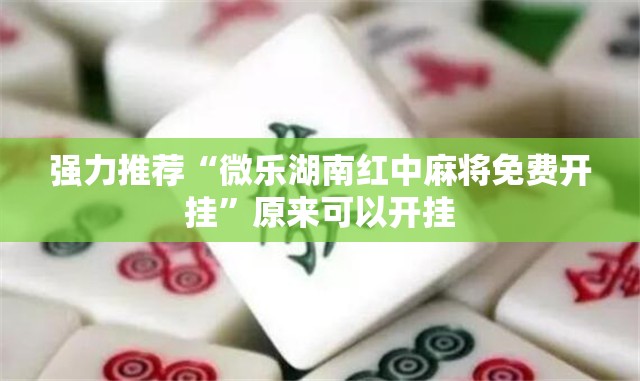 强力推荐“微乐湖南红中麻将免费开挂	”原来可以开挂