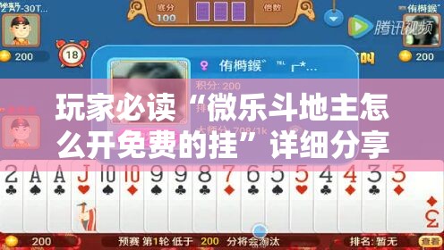 玩家必读“微乐斗地主怎么开免费的挂”详细分享装挂步骤